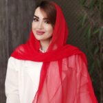 شال حریر کریشه - مانتو پاتریس رشت