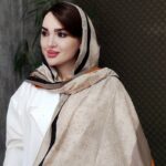 شال حاشیه نوار پاییزه - مانتو پاتریس رشت