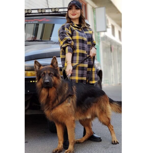 4060022.1-min مانتو موهر