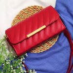 کیف گلدوزی زارا - مانتو پاتریس رشت