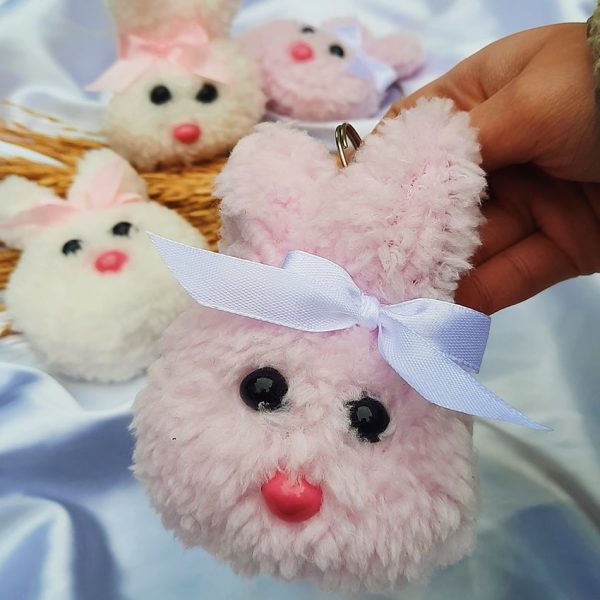 39800126-min جاسوییچی خرگوش