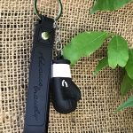 چاسوییپی سیلیکونی