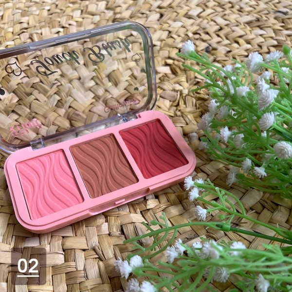 رژگونه 3 رنگ - مانتو پاتریس رشت