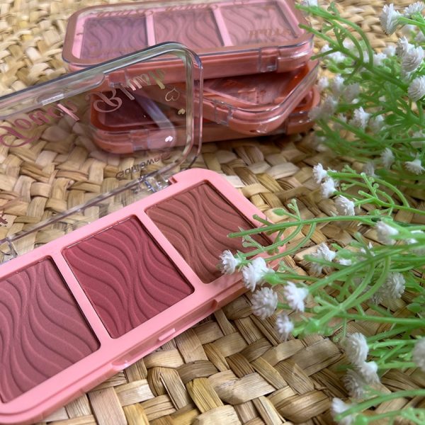 رژگونه 3 رنگ - مانتو پاتریس رشت