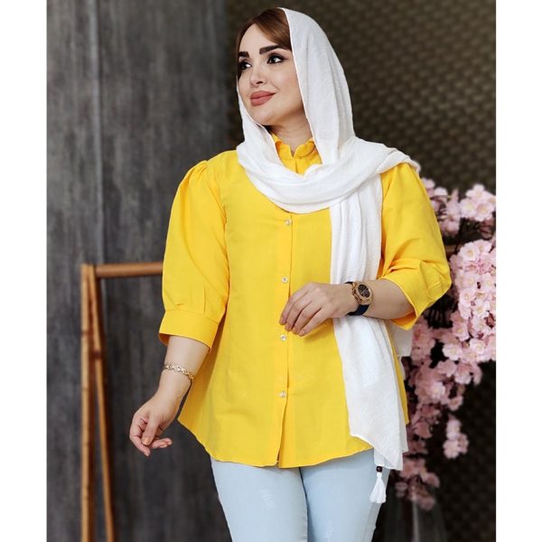 3970038.8-min مانتو داکرون آستین پفی 3970038 - Image 2