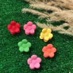 پک کلیپس ریز گل رنگی - مانتو پاتریس رشت