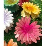 کلیپس کریستالی مانتو پاتریس_رشت