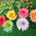 کلیپس کریستالی مانتو پاتریس_رشت