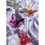 کلیپس فنری کلیپس پروانه مانتو پاتریس_رشت