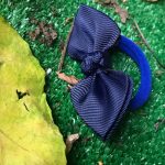 کش مو پاپیونی - مانتو پاتریس رشت