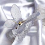 کلیپس پروانه کلیپس اکلیلی مانتوپاتریس_رشت