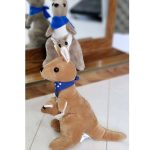 عروسک کانگورو - مانتو پاتریس رشت