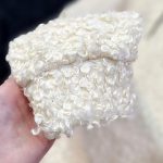 هودی کچه - مانتو پاتریس رشت