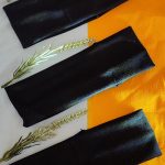 هد بند وشکی بغل نایک - مانتو پاتریس رشت