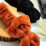 تل پاپیون تدی - مانتو پاتریس رشت