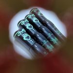 ریمل مشکی اسنس - مانتو پاتریس رشت