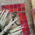 پالت رژ لب جامد 12 رنگ - مانتو پاتریس رشت