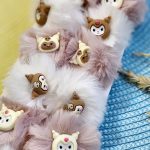 کش مو پشمی - مانتو پاتریس رشت