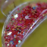 کلیپس آکواریمی - مانتو پاتریس رشت