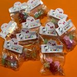 پک کلیپس گل - مانتو پاتریس رشت