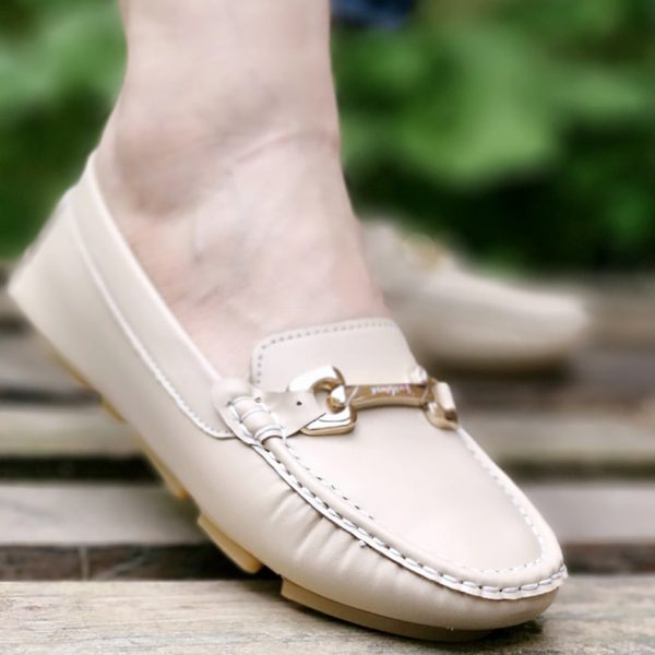 کالج کرم چرم