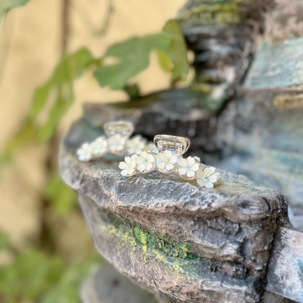 کلیپس گل ریز-رشت مانتو پاتریس