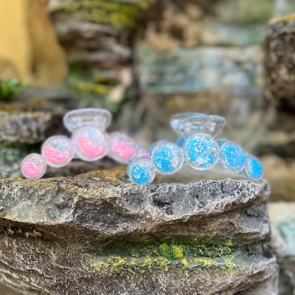 کلیپس آکواریومی-رشت مانتو پاتریس