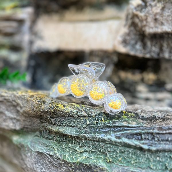 کلیپس آکواریومی-رشت مانتو پاتریس