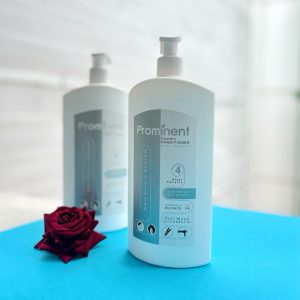 ماسک مو پرامیننت-رشت خیابان مطهری