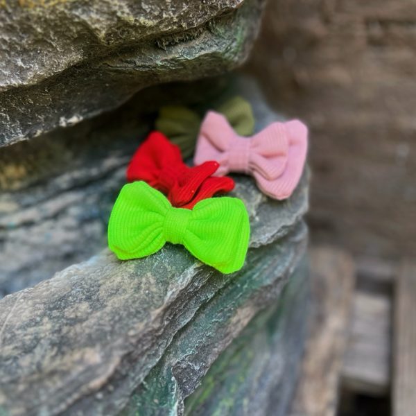 گیره پاپیونی-رشت مانتو پاتریس