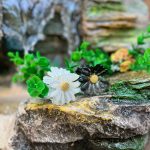 کلیپس بابونه شیشه ای-رشت مانتو پاتریس