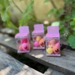 پد کانسیلر-رشت مانتو پاتریس