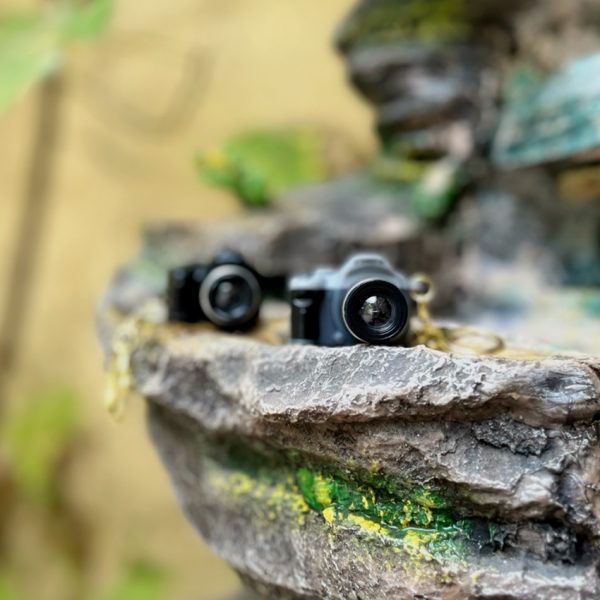 35800478-1 جاکلیدی دوربین عکاسی-رشت مانتو پاتریس