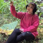 تونیک بافت یقه گرد رنگی - مانتو پاتریس رشت