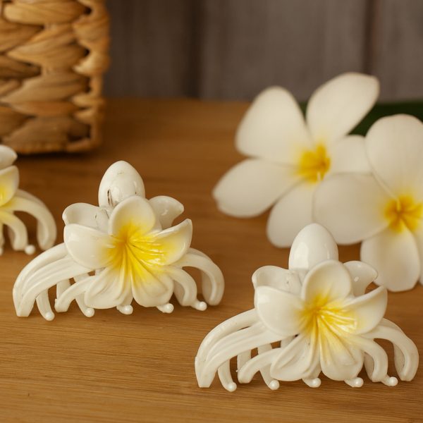 کلیپس-رشت مانتو پاتریس