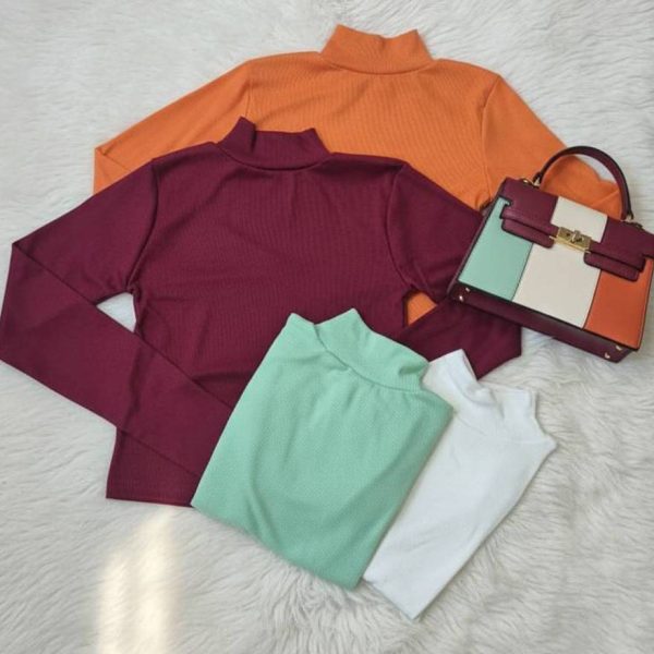 بلوز یقه اسکی رنگی