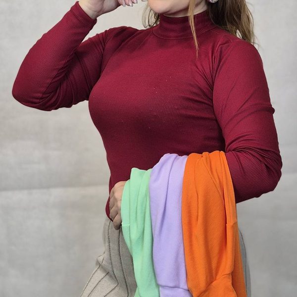 بلوز یقه اسکی رنگی