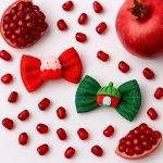 گیره یلدایی-رشت مانتو پاتریس