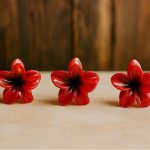 کلیپس کوچک-رشت مانتو پاتریس