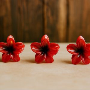 کلیپس کوچک-رشت مانتو پاتریس